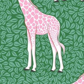 bright pink giraffe/jumbo