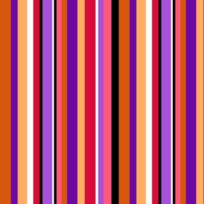 Bright Stripe Coordinate for the Butterflies Garden Collection in Jewel Colors of Orange, Yellow, Red, Lilac, Purple, Pink on Black