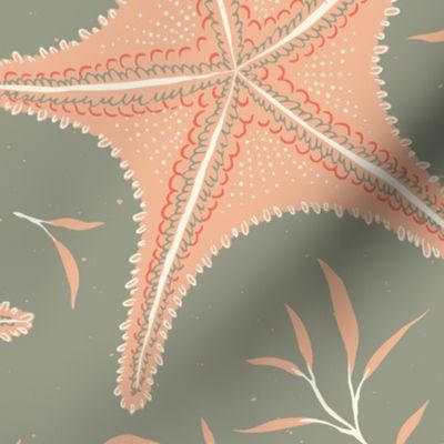 Coastal Starfish_Lichen Green and Pink Salmon Pastel_16747792