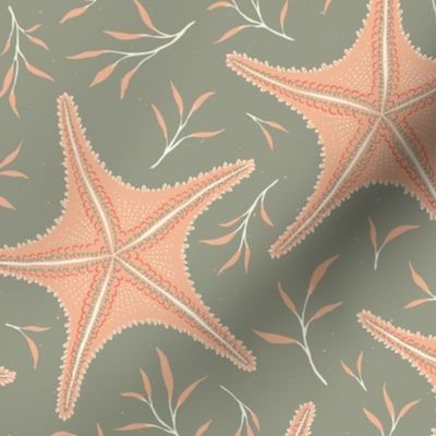 Coastal Starfish_Lichen Green and Pink Salmon Pastel_16747793