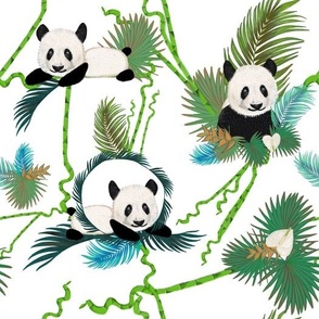 Cute panda and bamboo
