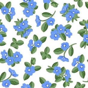 Blue Daze Flowers, Sm Scattered Floral Pattern, Cornflower Blue Flowers, Sage Green Leaves, White Background