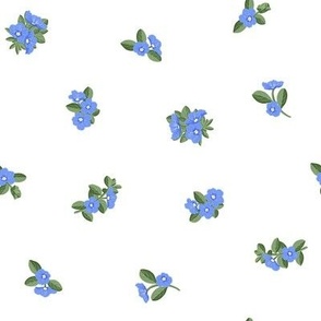 Blue Daze Flowers, Sm Loose Tossed Floral Pattern, Cornflower Blue Flowers, Sage Green Leaves, White Background