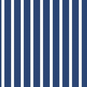 2" rep blue white stripes textured 223e6f