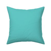 It's Beach Time - Turquoise Solid