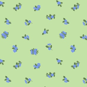 Blue Daze Flowers, Med Loose Tossed Floral Pattern, Cornflower Blue Flowers, Sage Green Leaves, Mint Green Background 
