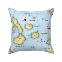 Galapagos Archipelago Map 20" Pillow Panel