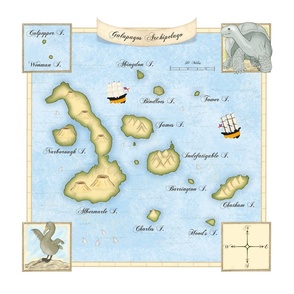 Galapagos Archipelago Map 20" Pillow Panel