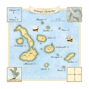 Galapagos Archipelago Map 18" Pillow Panel