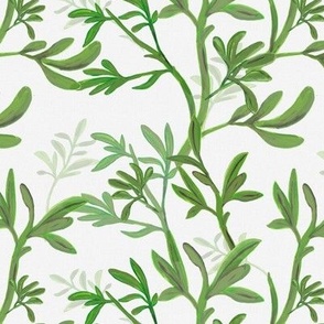 Tropical Chic - Green leafy tree branches on white - MEDIUM- climbing vines 
