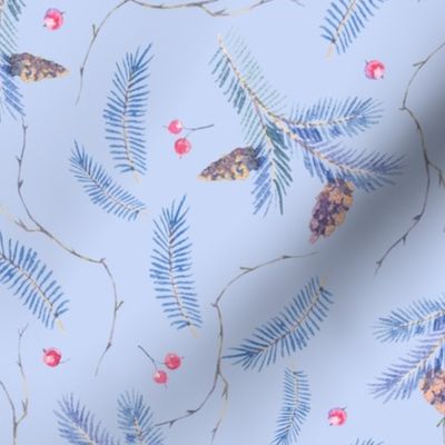 Spruce branches and fir cones on blue
