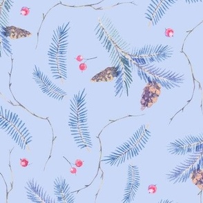 Spruce branches and fir cones on blue