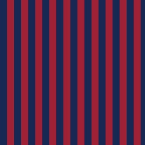 navy and dark red awning stripe