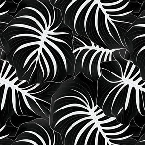 black white abstract monstera leaf