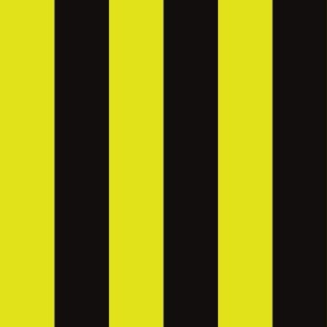 large awning stripes_lime and black