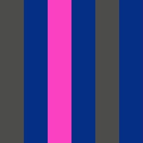 large awning stripes_gray and hot pink on royal blue