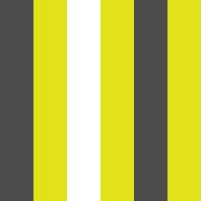 large awning stripes_gray and white on lime