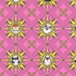 Royal Cat Sunburst Pattern Hot Pink