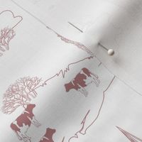 Country toile Dusty Rose