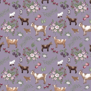 Plum Vintage Kitchen Dwarf Goats Small