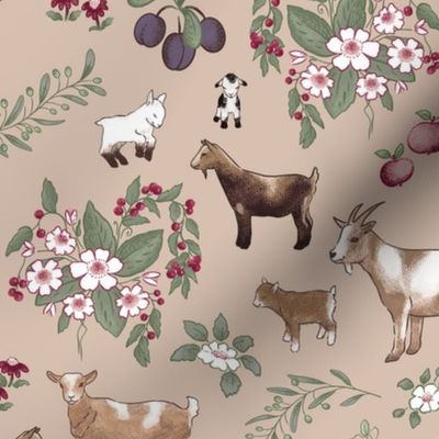 Latte Vintage Kitchen Dwarf Goats Small