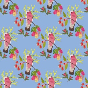 Australian Floral Galahs - sky blue, medium