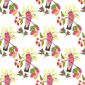 Australian Floral Galahs - white, medium