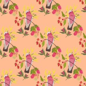 Australian Floral Galahs - peach fuzz, medium