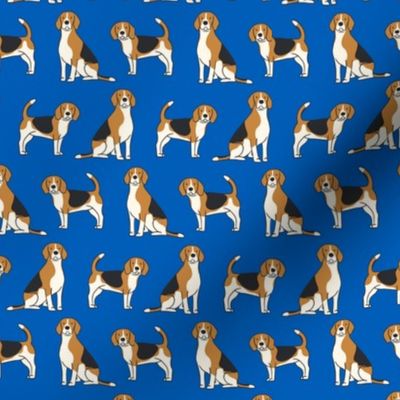 Beagles on Blue  20