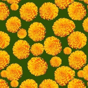 Yellow Marigolds on Green Background - Floral Photography - Marigold Photography