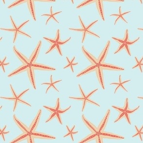 Red starfish on ice blue