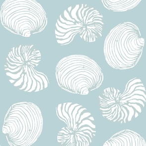 modern seashells coastal print