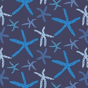 Blue starfish on navy blue background