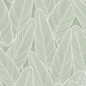 Line Art Leaves - Sage Green