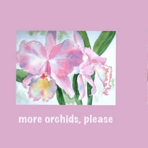 more orchids,please 