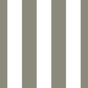 3" Awning Stripes_Block Stripes_Cabana Stripes_Antique Pewter 1560 and White_Benjamin Moore Color Trends 2024