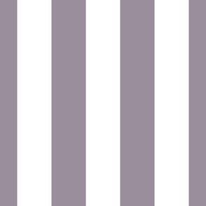 3" Awning Stripes_Block Stripes_Cabana Stripes_Hazy Lilac 2116-40 and White_Benjamin Moore Color Trends 2024