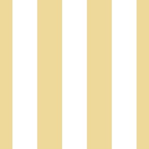 3" Awning Stripes_Block Stripes_Cabana Stripes_Honeybee CSP-950 and White_Benjamin Moore Color Trends 2024