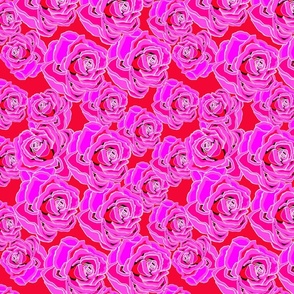 Pink and Red Roses 
