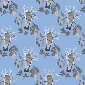 Australian Floral Galahs - greyscale on sky blue, medium