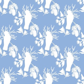 Australian Floral Galahs - white silhouettes on sky blue, medium