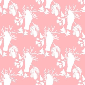 Australian Floral Galahs - white silhouettes on strawberry pink, medium