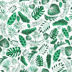 Exotic Palm Leaves