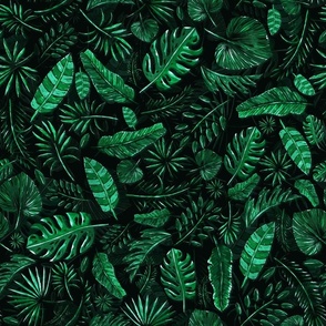 Exotic Palm Leaves Dark Background