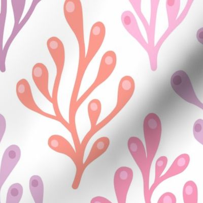Diamond shaped seaweed - purple and pink on white background - large scale