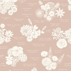 Vintage floral blooms encyclopedia in muted pink - medium