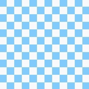 1/2" Checkerboard Squares Light Blue and White