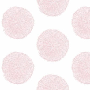 Sand Dollar Sea Shell Illustration in White and Pastel Pink 