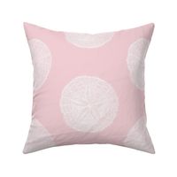 Sand Dollar Sea Shell Illustrations in Fashion House Pink and White