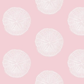 Sand Dollar Sea Shell Illustrations in Fashion House Pink and White